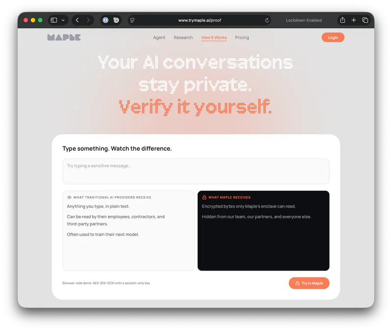 Meet Maple, the Personal Intelligence Platform