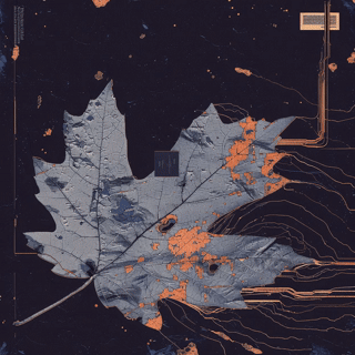 Stylized maple leaf artwork
